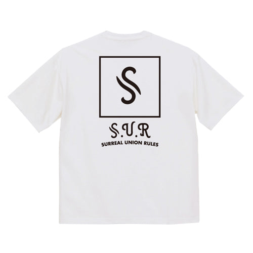 S-ICON LOOSE FIT T-SHIRT